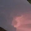 vaniafelicyana