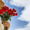 beedo_70
