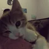 randomm_xx_