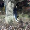 ryan_renkes