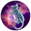 mysteryspacecat