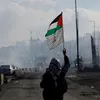 qasimnawaz782