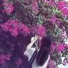 kimph_26