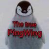 pingwing34