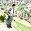 hamidahmadi033