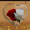 user925vmtt4n7