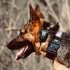 nova.the.gsd22