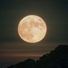 moonlight_12_389