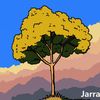 jacksonnsecond