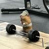 namesroo