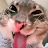 cacdinhda
