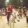 tran_duy_hong