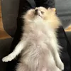 user9b9snmkhjr