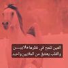 userhllamj5j1o