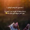 ikramkurdi14