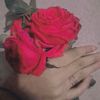 user5263272303371