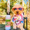 archiethedoodle
