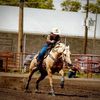 callie_andersen