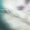 unizart