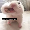 ottercute.05