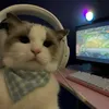 _hgtdcam