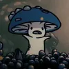 dyaraay