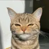 jmvill24
