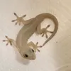 japanese.gekko