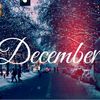 december______2