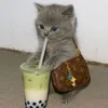 dangnguyenanh444