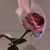 zu_za001