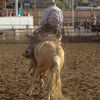 Wannabe cowboy