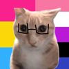 s1lly_cat_wit_glasses