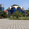 99_ke_229_talis