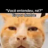 luizgabrielalvesb