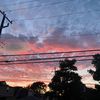 taz_0209