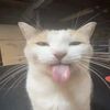 arihatesyou2much