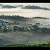 giaitrivui5