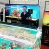 aqua_tri_nho