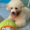 phuong.ng1112