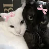 bubymangoy