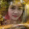 utnhitcgc