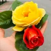 baruzhi_5