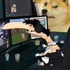 ttvbiist1