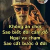 user242639157434