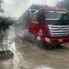 *Cường_bản*