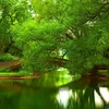 tmtien1106