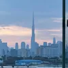 _982401