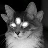 possibly_the_antichrist
