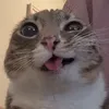 user_92840282